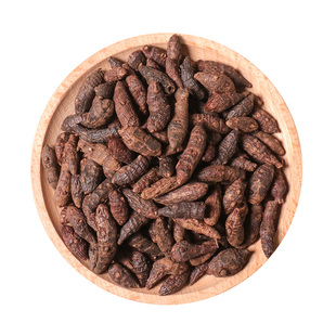 500克正品野生香附子 香附中药材生香附炒香附醋香附醋制香附子粉