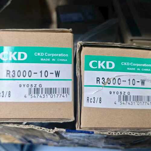 溢价-R3000-10-W 2个