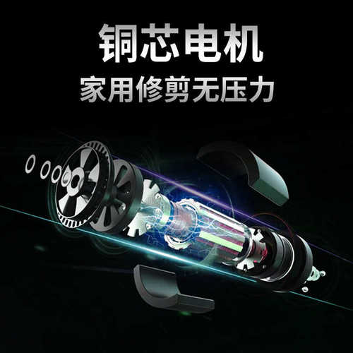 电动修枝剪花园粗枝剪小型家用充电式锂电园艺剪刀果树摘果剪花枝