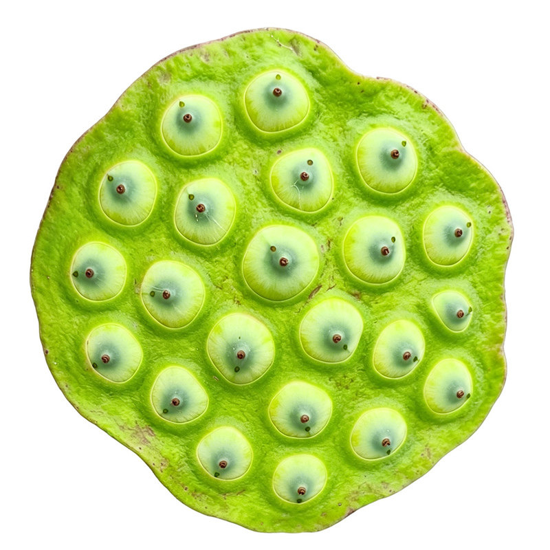 江西当季现摘即食新鲜水果嫩莲蓬