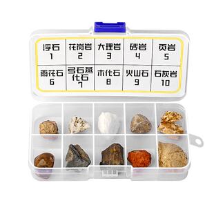 四年级科学下册小学生岩石标本与矿物标本盒土壤科学课学生用石头教具科学小实验套装花岗岩科普观察材料B1