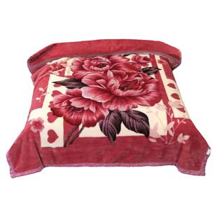 二等品微瑕疵毛毯床单双层加厚珊瑚绒保暖盖毯拉舍尔毛毯双层单人