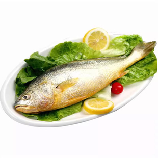 冰鲜大黄鱼新鲜海鱼速冻黄玉鲜活冷冻缅甸非宁德黄花鱼海鲜商用