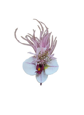 高端结婚礼新郎胸花香芋紫色蝴蝶兰伴郎团西服配饰襟花伴娘手腕花