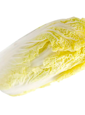 蔬菜四季娃娃菜娃娃菜种子菜籽