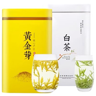 正宗白茶安吉黄金芽茶叶2025新茶明前绿茶官方旗舰店茶叶自己喝