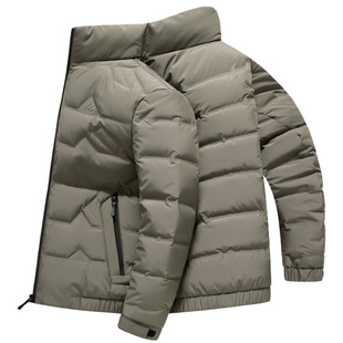 雪中飞男士羽绒服短款简约立领松紧腰上衣南方冬季轻暖无缝鸭绒服