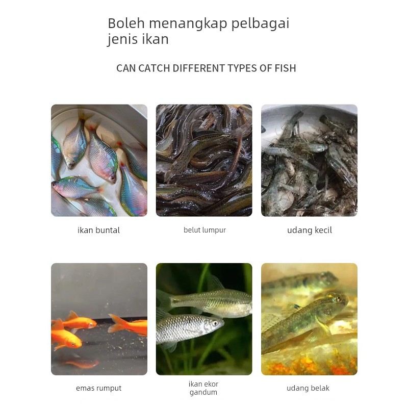 儿童户外抓鱼瓶捕鱼神器倒须池塘小溪河流捉小鱼小虾捞鱼钓鱼瓶子