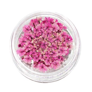 现货 日本 S Mint mint 天然干花花瓣小花朵押花整片花 美甲饰品