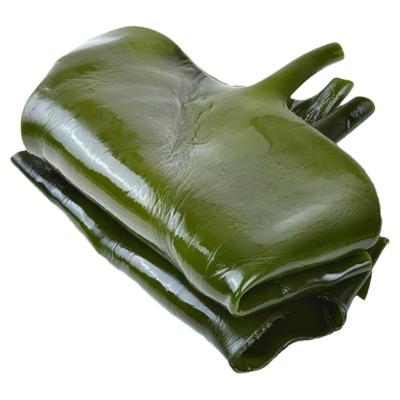 海带头新鲜5斤盐渍厚荣成海带