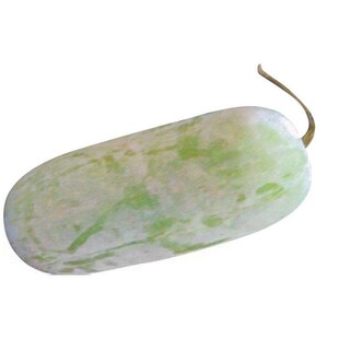 绿春小冬瓜种子迷你水果冬瓜种籽四季高产蔬菜一串铃庭院高产包邮