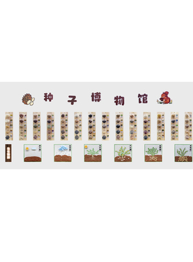 种子主题幼儿园环创标本装饰画