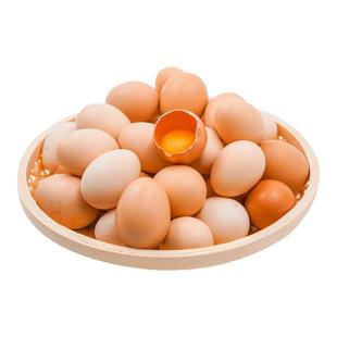 芮瑞20枚*45g果园散养土鸡蛋新鲜柴鸡蛋农家笨鸡蛋草鸡蛋生鸡蛋