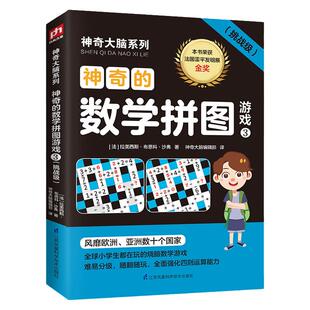 神奇大脑系列神奇的数学拼图游戏3挑战级中小学教辅知识大全潜能开发孙子算经学好数学并不难好玩的数学加减乘法思维训练课外阅读