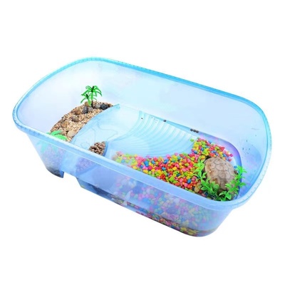 乌龟缸小型鱼跑来跑去