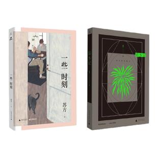 苏方作品2本套装 一些时刻 异乡记 苏方 文学 爱情 中国文学 豆瓣 短篇小说 洪尚秀 飞行家 台风天 北方大道 基本美 理想国