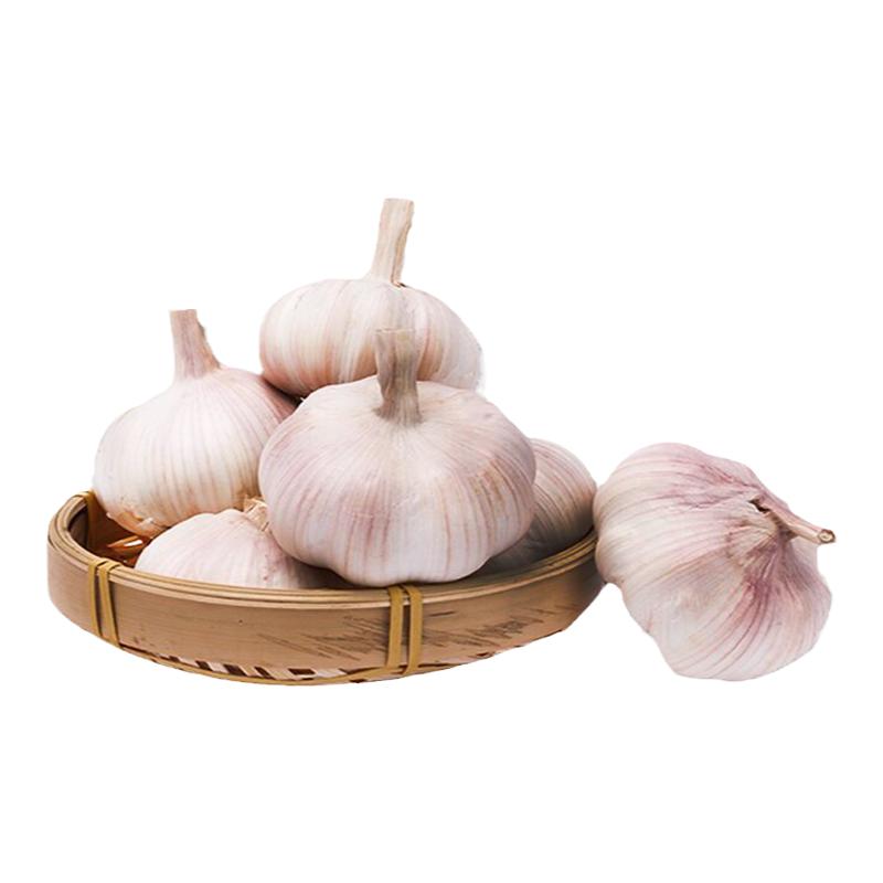 鲜蒜6月份刚出土大蒜头腌制糖蒜