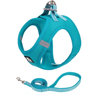 TRUELOVE狗狗背心小型幼犬春夏外出专用牵引绳马甲宠物用品胸背带