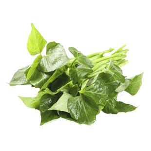 廊下滋味红薯叶1-5斤 新鲜苕尖专吃叶子地瓜叶嫩尖农家食用番薯叶