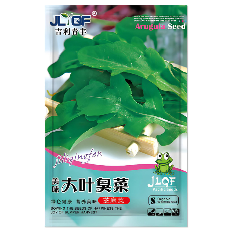 大叶臭菜种子东北芝麻菜
