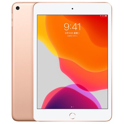 Apple/苹果 iPad mini 5(第五代) 迷你mini5代7.9寸 256G平板电脑