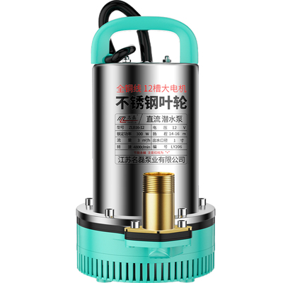 【2025新款】大功率12V抽水泵