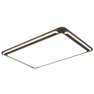 雷士照明吸顶灯2025新款主客厅灯智能卧室简约灯具全屋套餐黑色