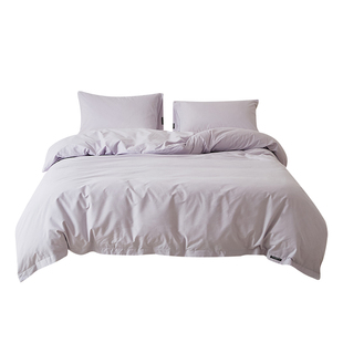 紫色柔软100支纯棉陶瓷轻磨毛被套双人1.8床单保暖全棉被罩四件套