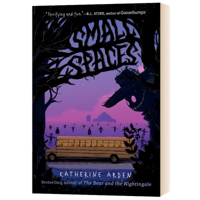 英文原版 Small Spaces 小空间 儿童故事阅读 英文版