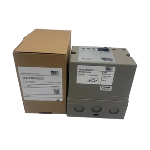 IES258-5/220烧嘴控制器 SINON施能点火器 自动点火控制器正品