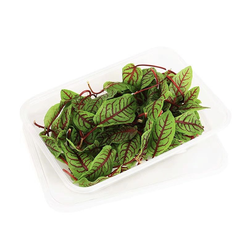 新鲜酸模叶可食用花草叶片酸膜红酸膜草装饰花草40片/盒