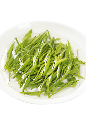 2026新茶酒都碧松针宜宾早茶炒青绿茶四川宜宾屏山特产栗香浓耐泡