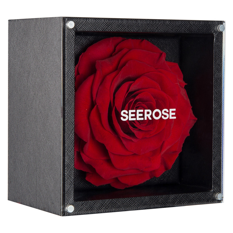 SEEROSE进口巨型永生花玫瑰礼盒送女生朋友闺蜜情人节生日礼物
