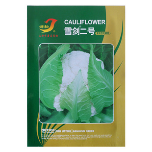 天津耕耘雪剑二号紧实型菜花种子夏季秋季耐热65天免盖花菜种籽孑