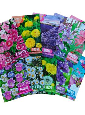 买3送3四季播种野花组合花种阳台庭院花海花种籽子大全花卉种孑