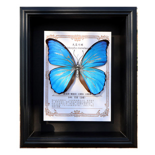 机械蝴蝶成品真蝴蝶标本可动大蓝闪天堂绿带翠凤蝶仿生生日礼物