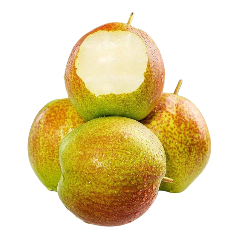 陕西正宗玉露香梨5斤包邮应当季新鲜孕妇水果薄皮梨子酥梨甜整箱