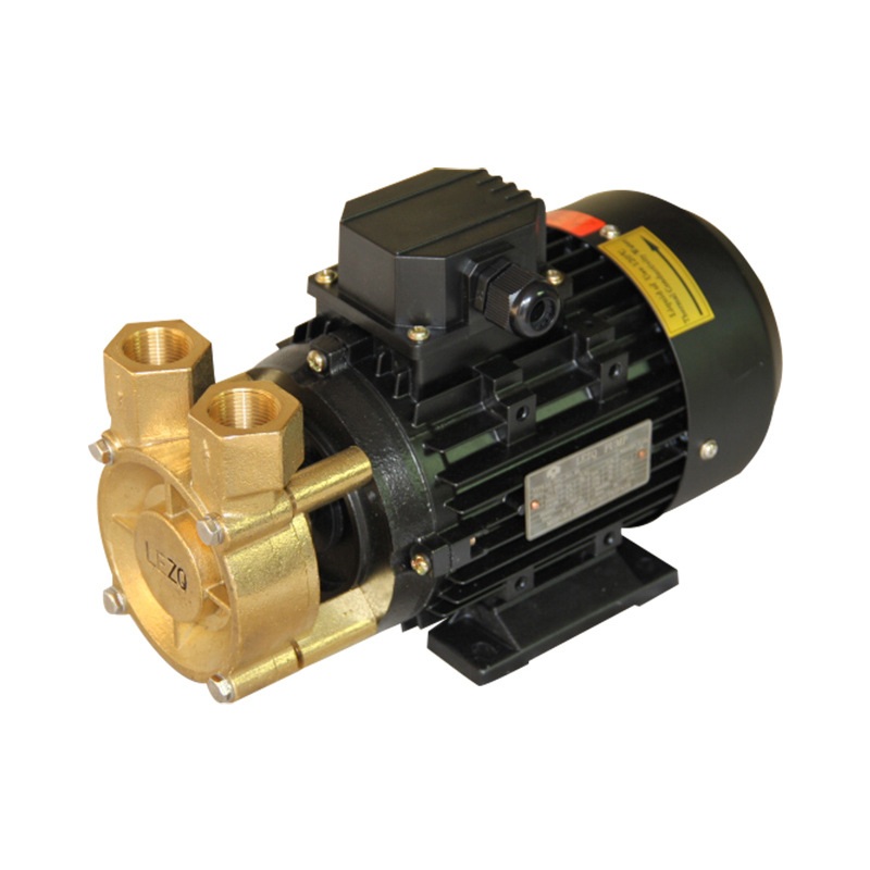 耐高温导热油热水泵 司倍克SPECK同款高温泵 卧式离心循环旋涡泵