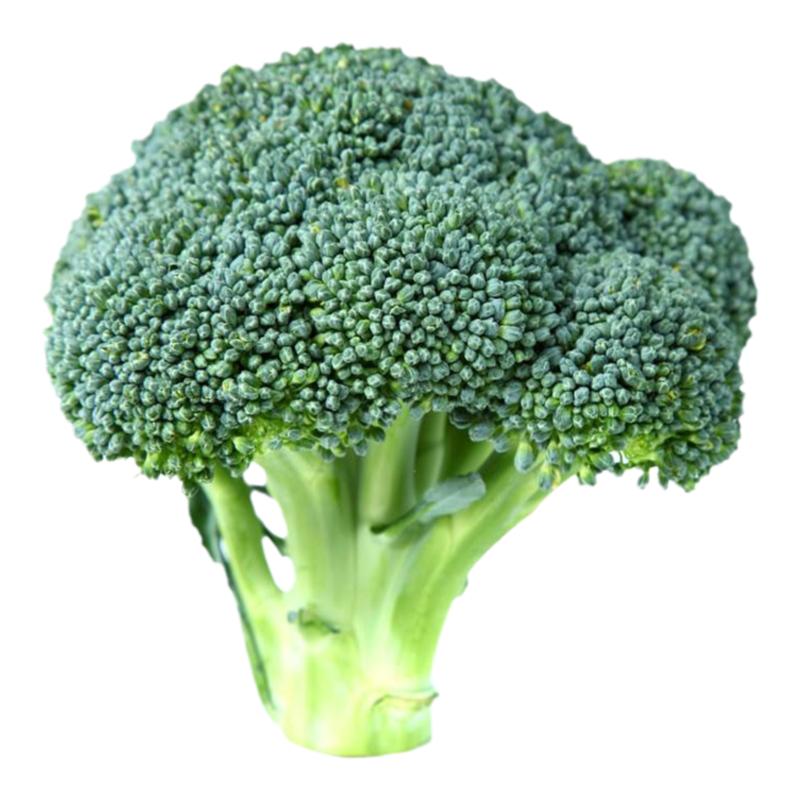 西兰花花种种籽种子青花四季菜籽