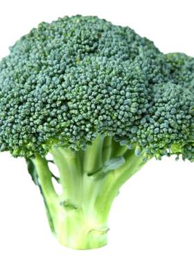 西兰花花种种籽种子青花四季菜籽