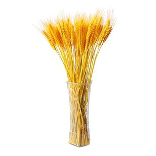 天然黄金麦穗干花花束开业大麦客厅装饰摆件摆设麦子插花道具稻穗