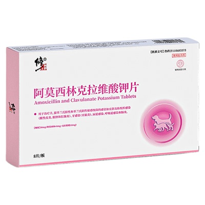 修正新关爱阿莫西林克拉维酸钾片宠物抗菌消炎药狗狗猫咪感冒药