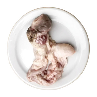 现宰羊欢喜整套带子宫阴道新鲜山羊阴户整只动物标本羊下货羊杂