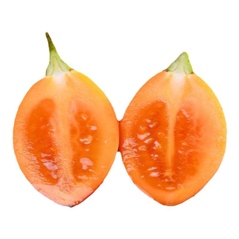 云南洋酸茄木本番茄特色食品小茄子树番茄洋番茄凉拌火锅酸汤调料