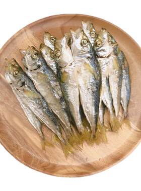 湄洲岛海捕海鱼干海货干货
