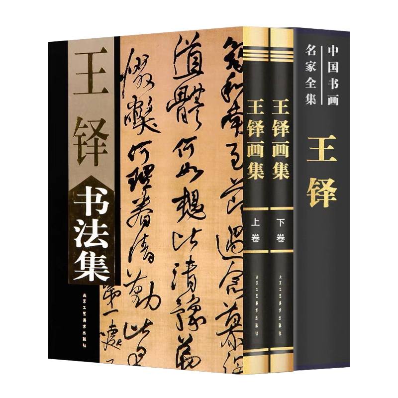 中国书画名家全集:王铎书法集