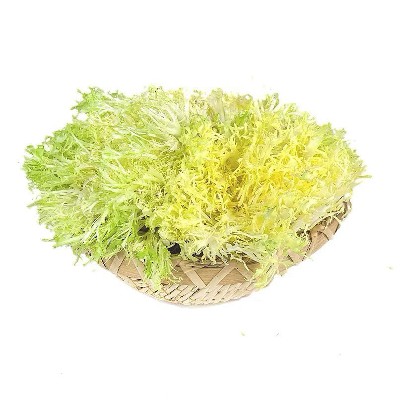 新鲜黄心苦菊500g苦叶生菜苦苣九芽狗牙菜苦细叶蔬菜沙拉西餐食材