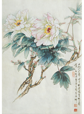 王少卿工笔画白描底稿牡丹国画《白玉兰》初学者临摹打印线描画稿