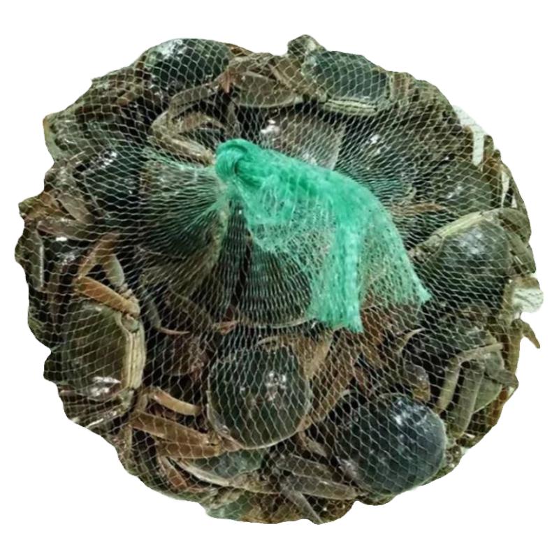 全母小螃蟹鲜活公蟹一二元蟹大闸蟹0.3两-1两稻田河蟹香辣蟹海鲜