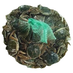 全母小螃蟹鲜活公蟹一二元蟹大闸蟹0.3两-1两稻田河蟹香辣蟹海鲜